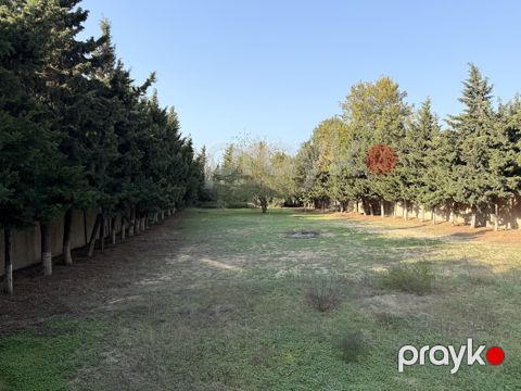 18 sot torpaq sahəsi, Bilgəh qəs — Bakı