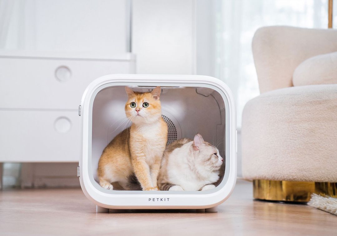 Petkit Airsalon Max Pro (PD10 Pro) – smart heyvan quruducu — Heyvanlar, Bakı