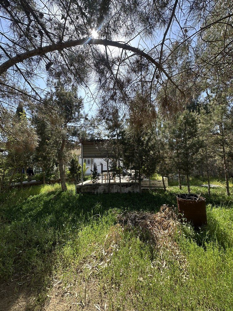Satılır torpaq 11 sot — Torpaq, Bakı (5)