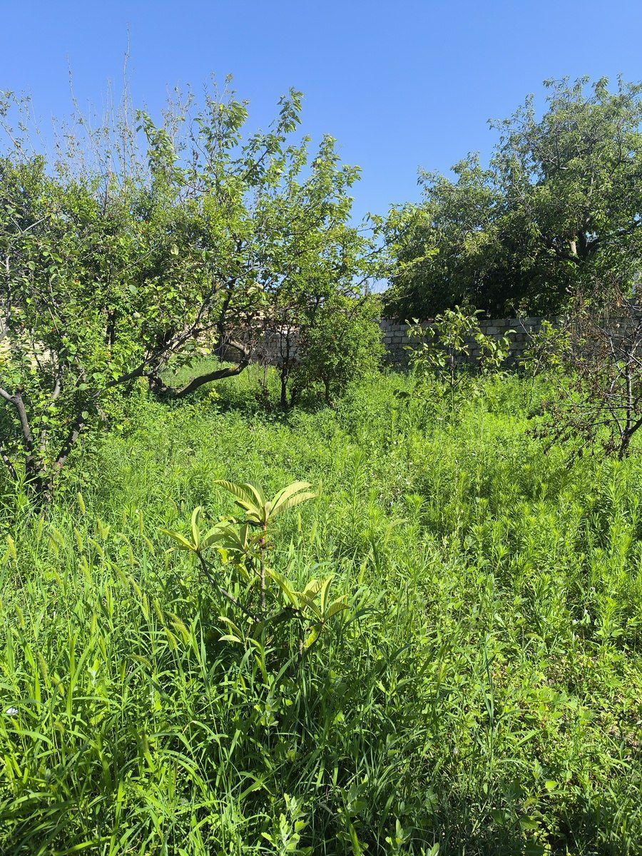 Satılır torpaq 4 sot — Torpaq, Bakı (11)