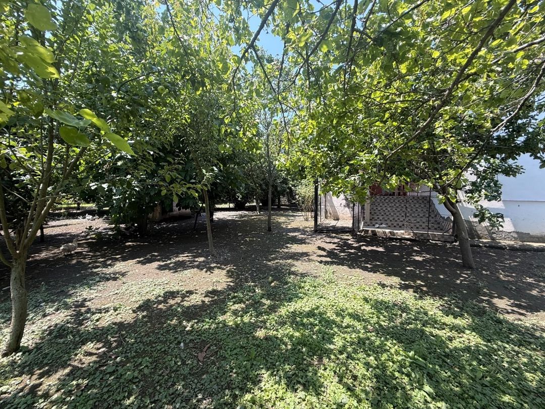 Satılır 4 otaqlı həyət evi/bağ evi 107.1 m² — Ev, villa, Zaqatala (3)