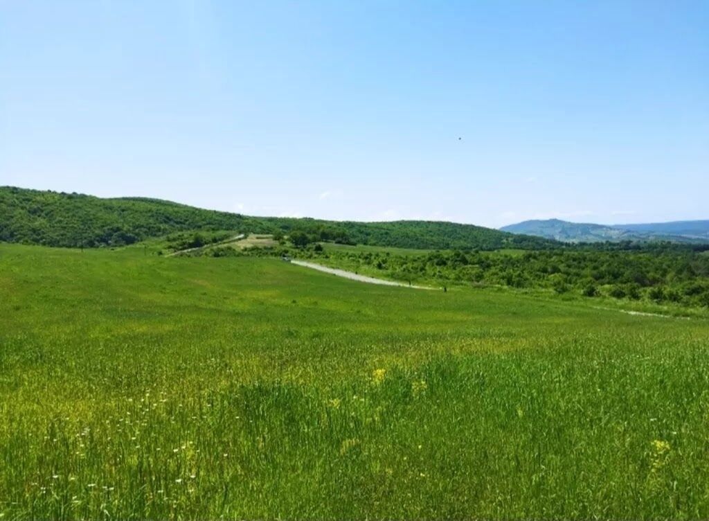 524 sot, Biznes üçün, Barter mümkündür, Kupça (Çıxarış) — Torpaq, Quba (9)