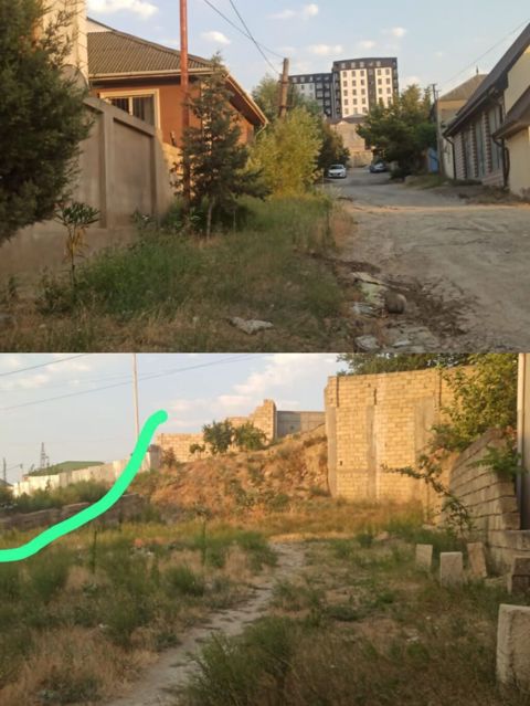 Tikinti