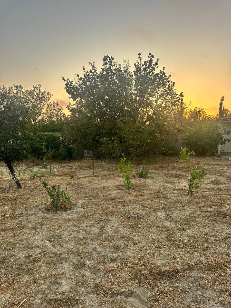 Satılır torpaq 4 sot — Torpaq, Bakı (3)