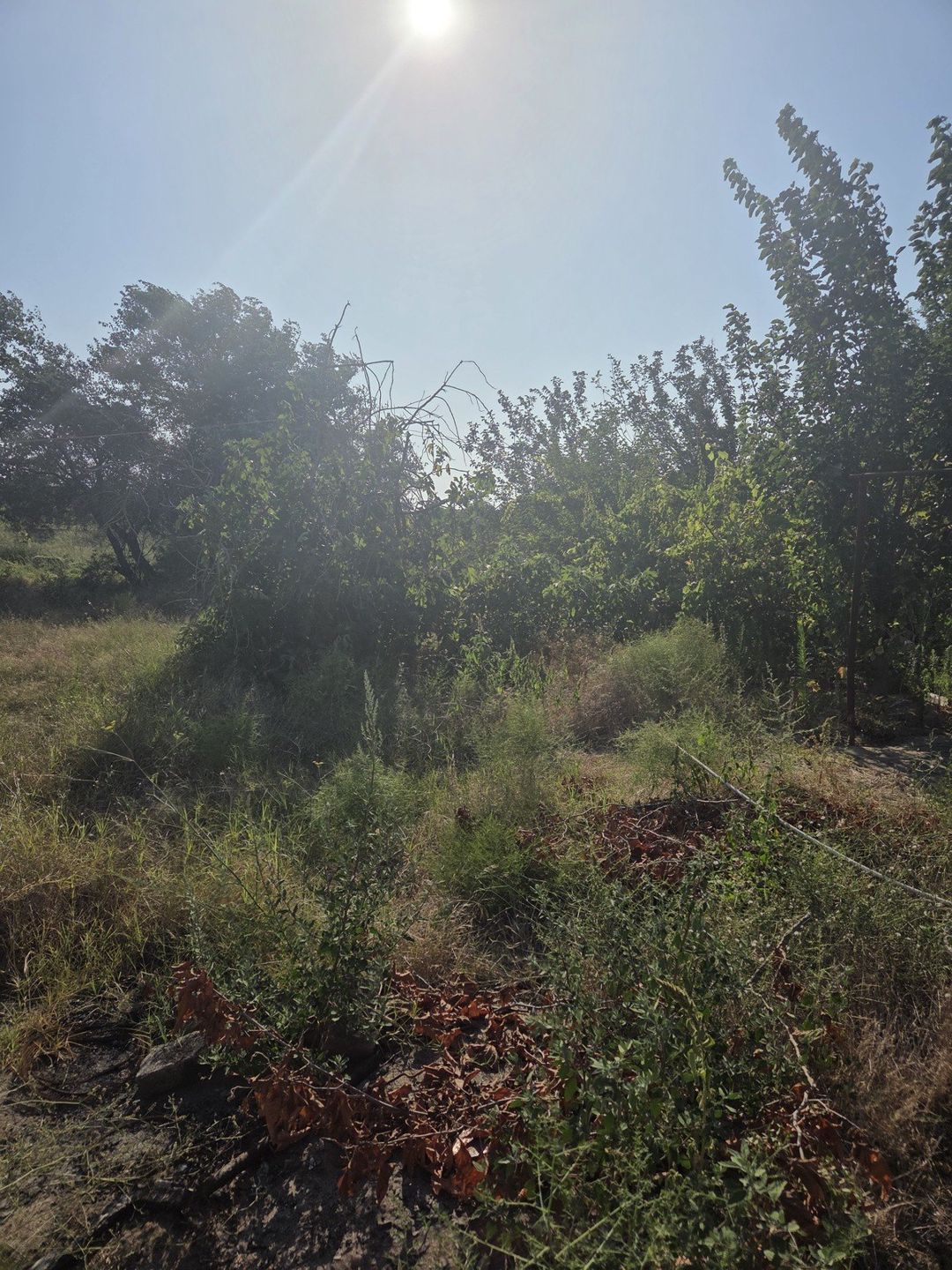2 sot torpaq sahəsi, Saray qəs. — Torpaq, Bakı