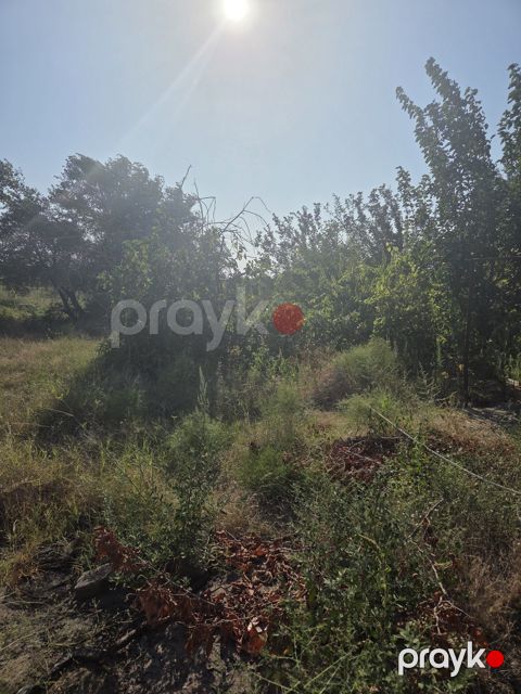 2 sot torpaq sahəsi, Saray qəs. — Bakı