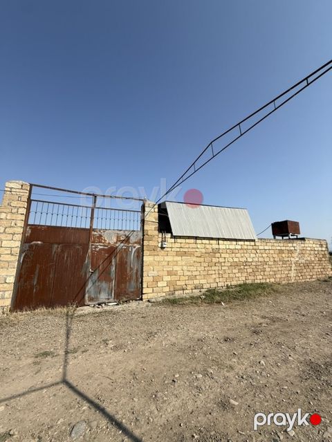 32 sotda kənd təsərrüfatı sahəsi, Kupça, Gəncə