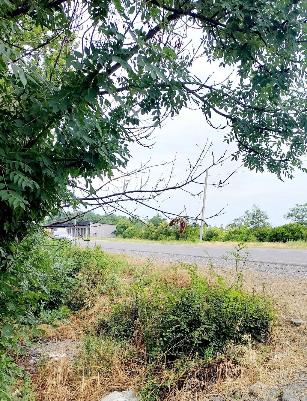 24 sot, Tikinti, Mülkiyyətçi, Kupça (Çıxarış) — Torpaq, Göyçay (3)
