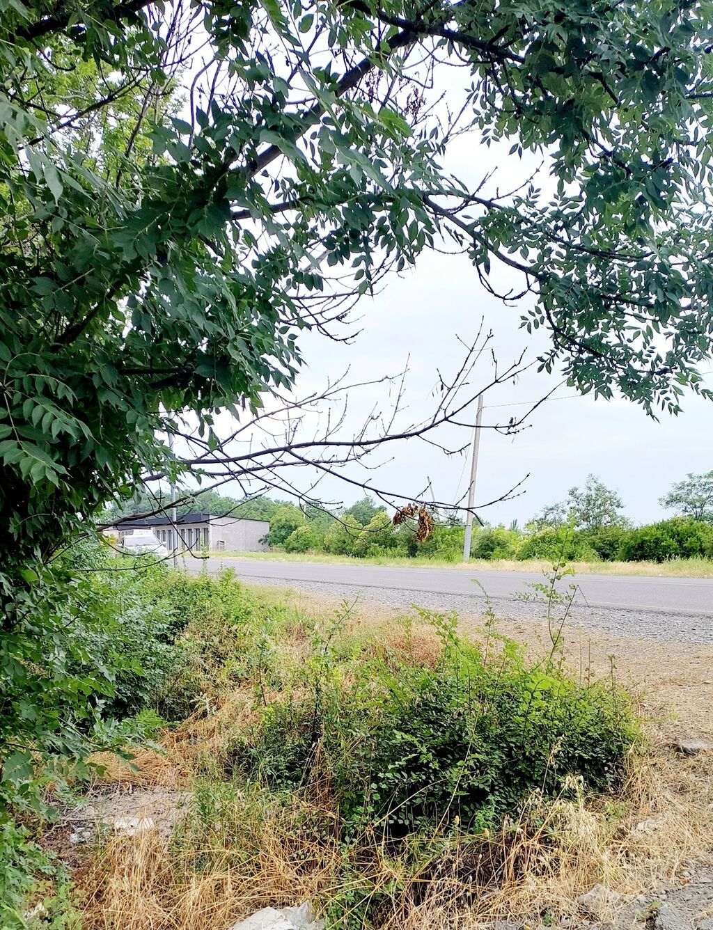 24 sot, Tikinti, Mülkiyyətçi, Kupça (Çıxarış) — Torpaq, Göyçay (3)