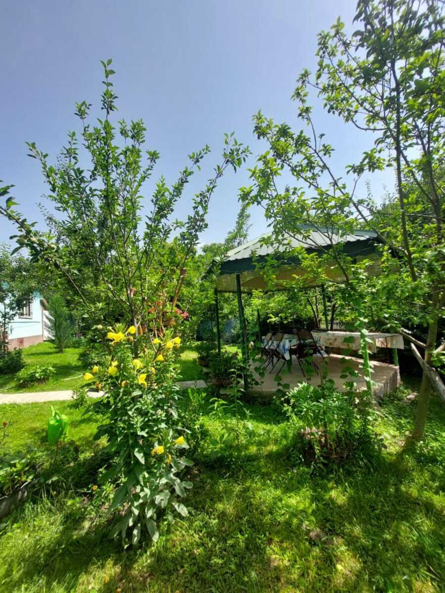 İcarəyə verilir 2 otaqlı həyət evi/bağ evi 50 m² — Ev, villa, Qəbələ (6)
