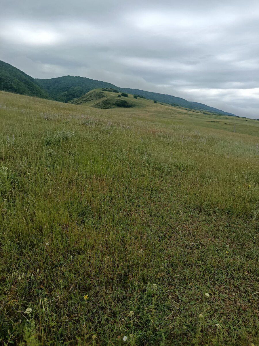 300 sot torpaq sahəsi, Şamaxı r. — Torpaq, Şamaxı (2)