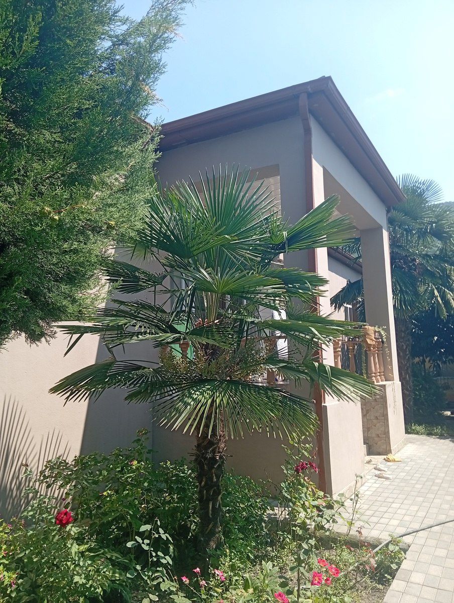 Həyət evi, Zaqatala ş. — Daşınmaz əmlak, Zaqatala (3)