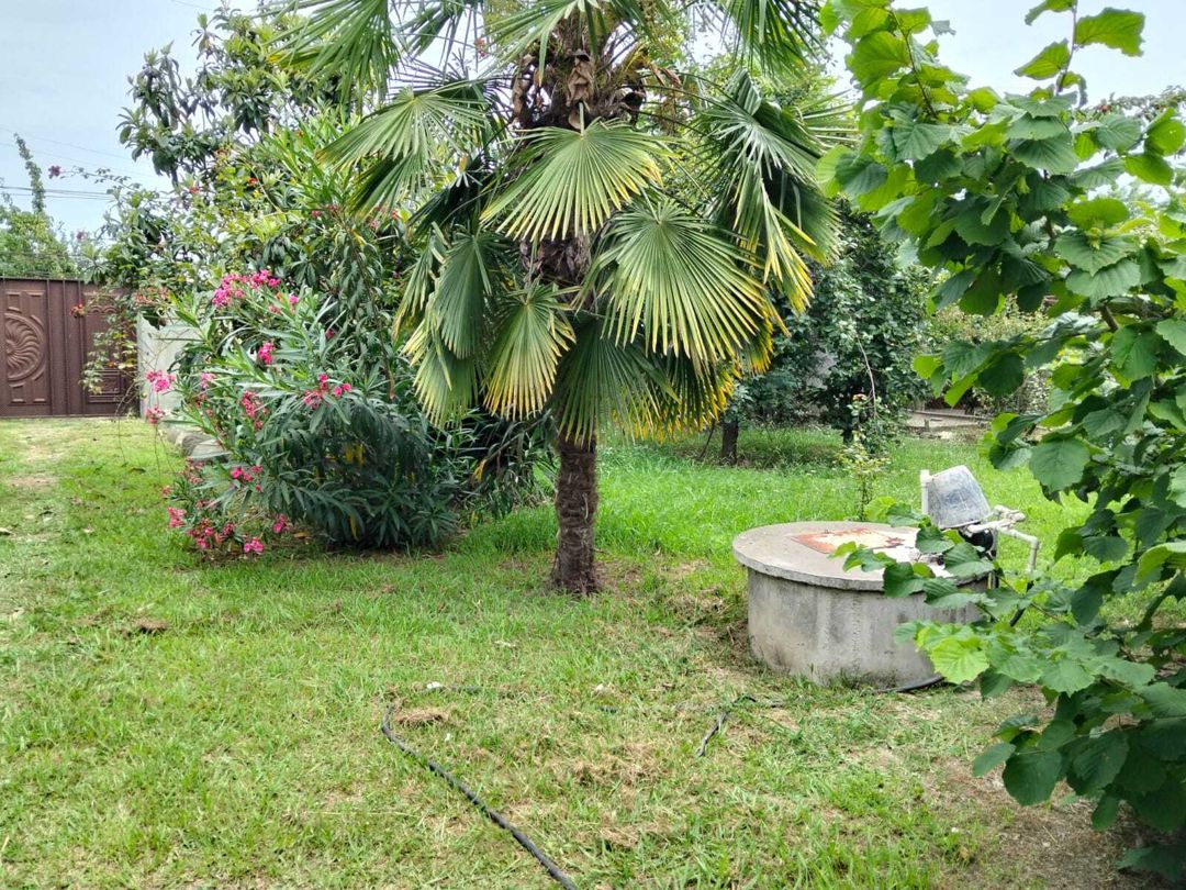 Satılır 5 otaqlı həyət evi/bağ evi 200 m² — Ev, villa, Lənkəran (6)