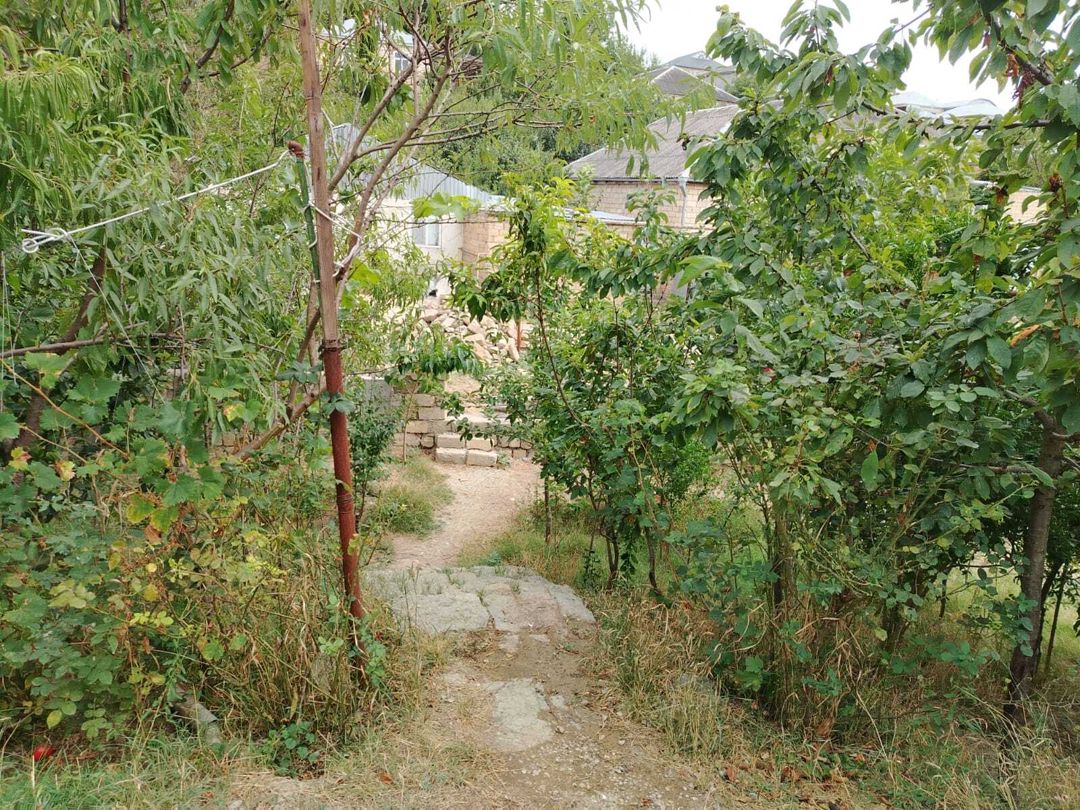 Həyət evi, Şamaxı r. — Ev, villa, Şamaxı (3)
