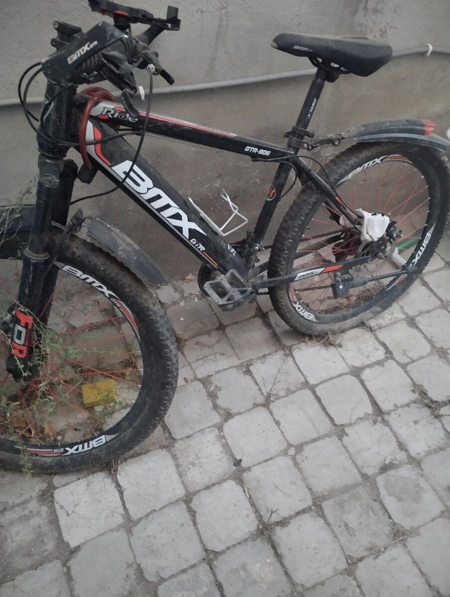 Velosiped — Velosipedlər, Bakı (2)