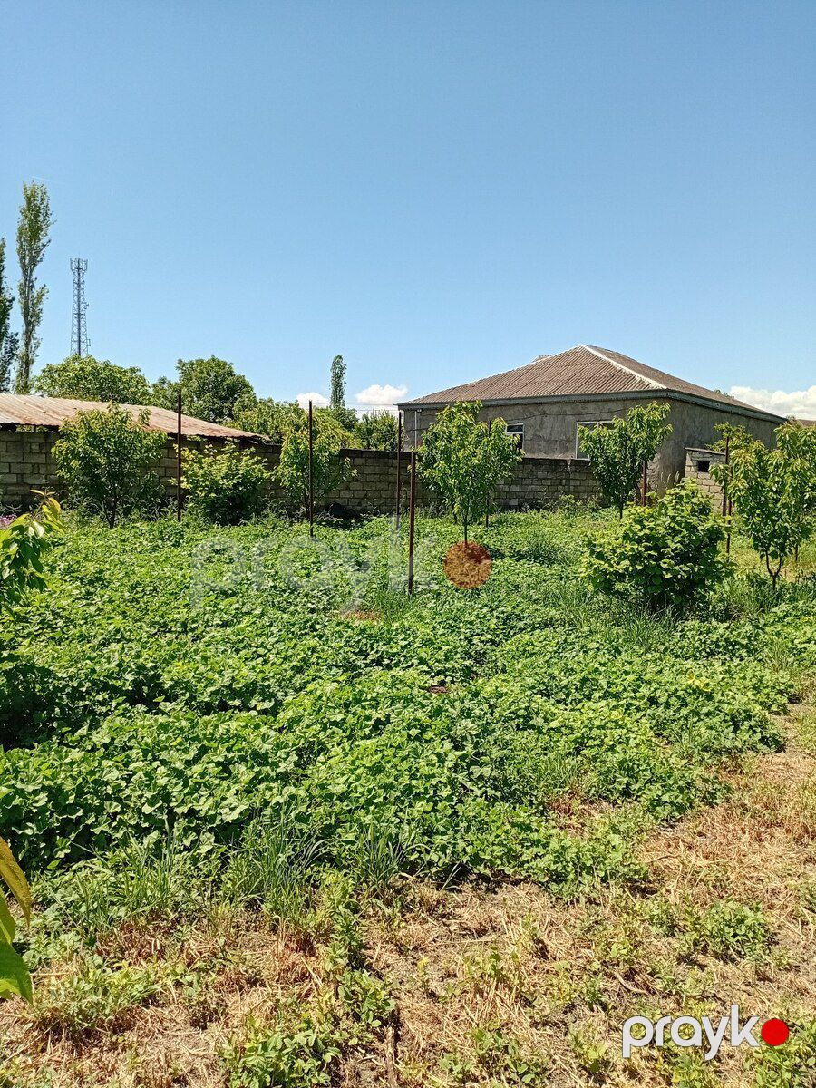 37 sot torpaq sahəsi, Xaçmaz r — Torpaq, Xaçmaz (5)