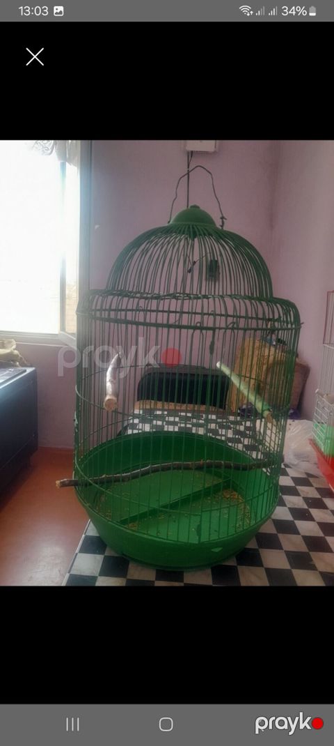 Клетка для птицы