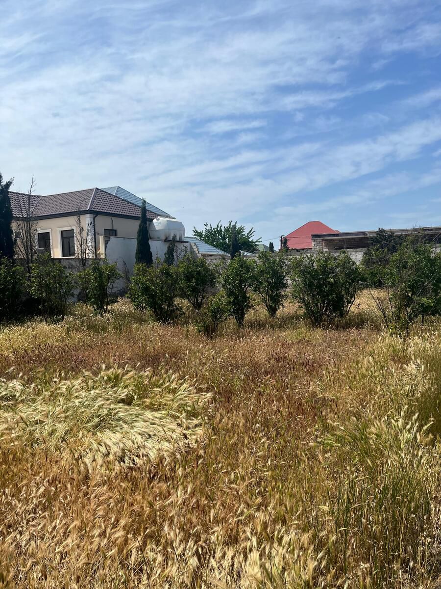 Satılır torpaq 14.5 sot — Torpaq, Bakı