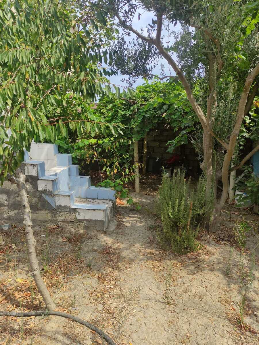 Satılır torpaq 9 sot — Torpaq, Bakı (2)