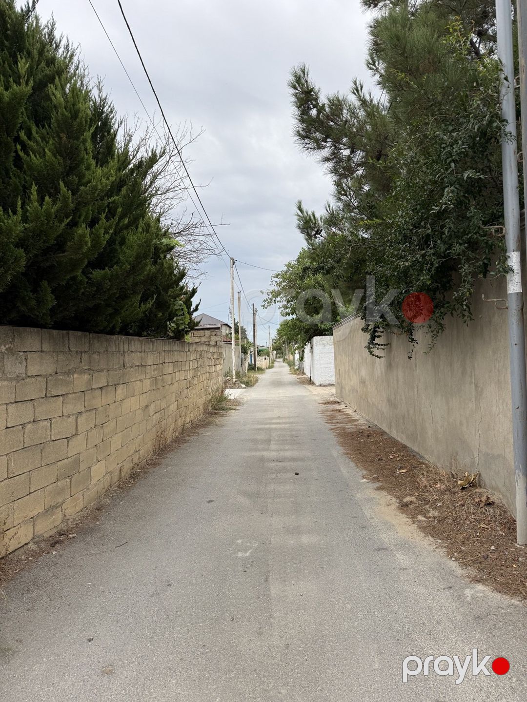 2.5 sot torpaq sahəsi, Görədil qəs. — Torpaq, Bakı (4)