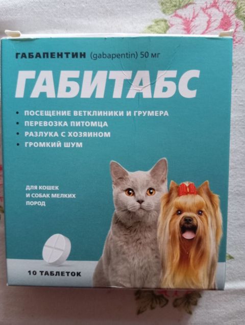 Məhsul: Gabitabs – gabapentin 50 mq Format: 10 ədəd tablet Təyinat: -