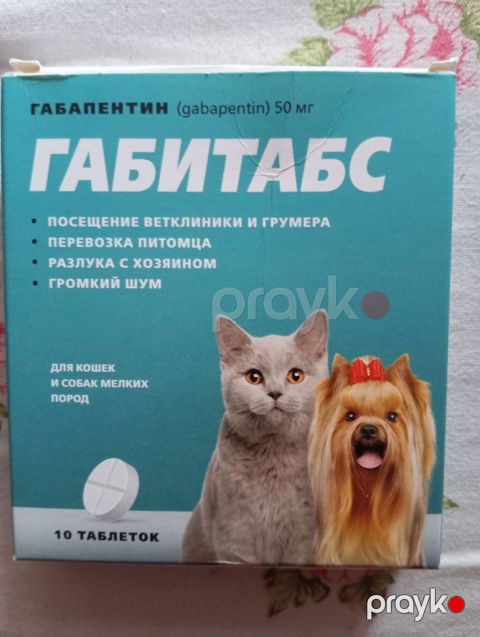Məhsul: Gabitabs – gabapentin 50 mq Format: 10 ədəd tablet Təyinat: - — Bakı