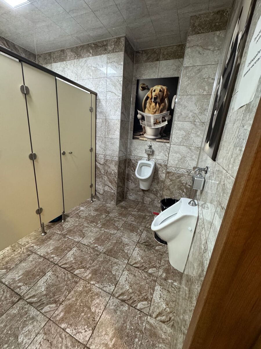 Satılır obyekt 560 m² — Əmlak, Bakı (9)