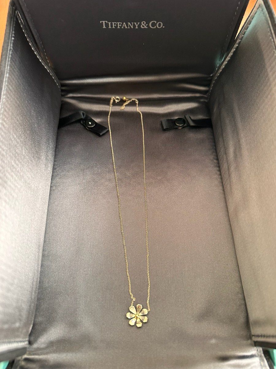 Boyunbağı Tiffany & Co — Şəxsi əşyalar, Bakı (2)