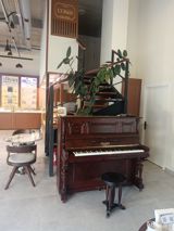 Piano — Musical Instruments
