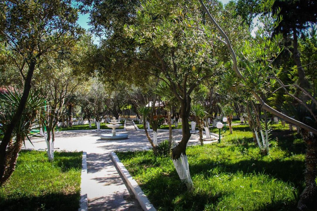 İcarəyə verilir obyekt 15000 m² — Əmlak, Bakı (12)