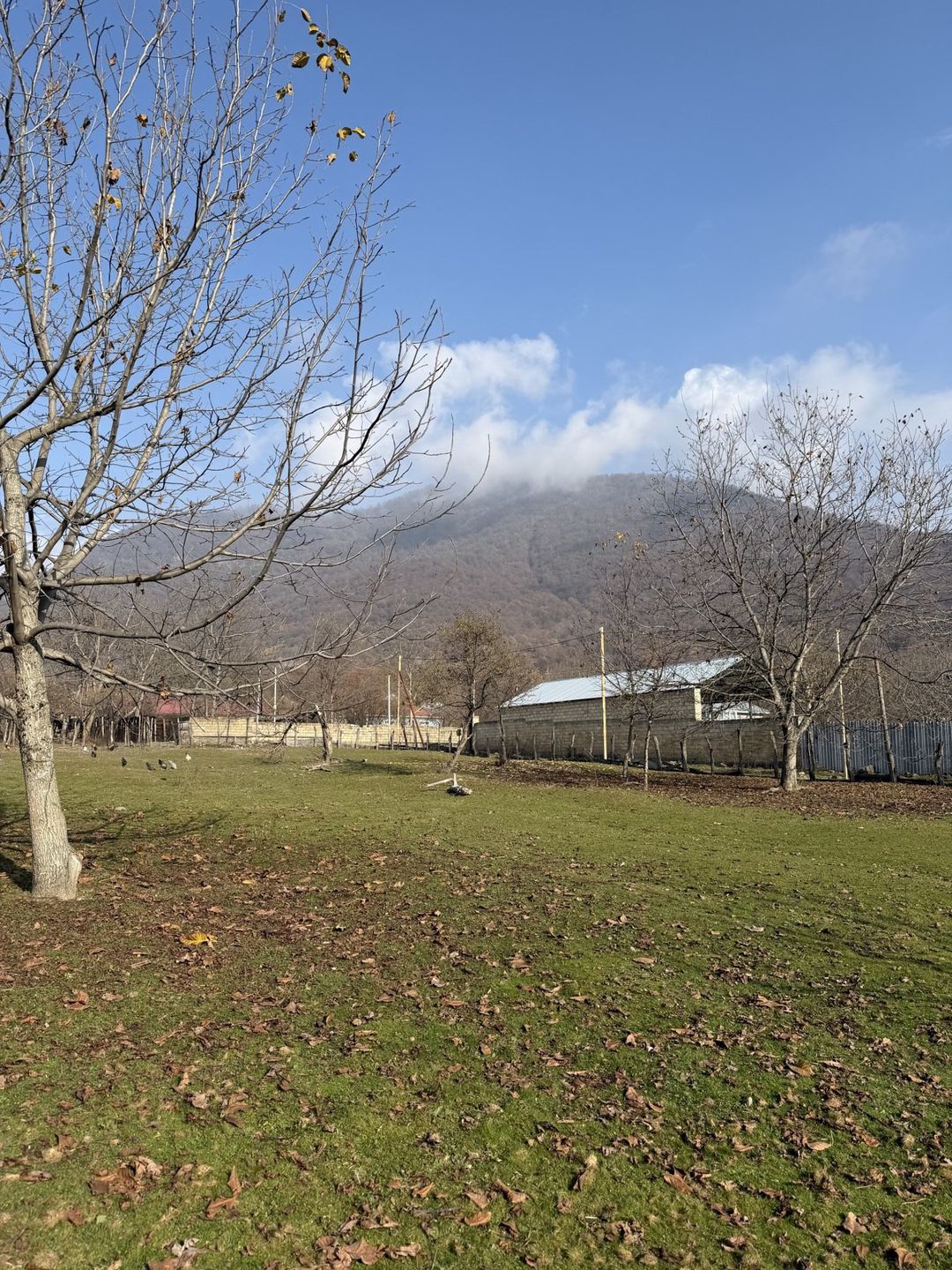 Satılır torpaq 4 sot — Torpaq, Qəbələ (7)