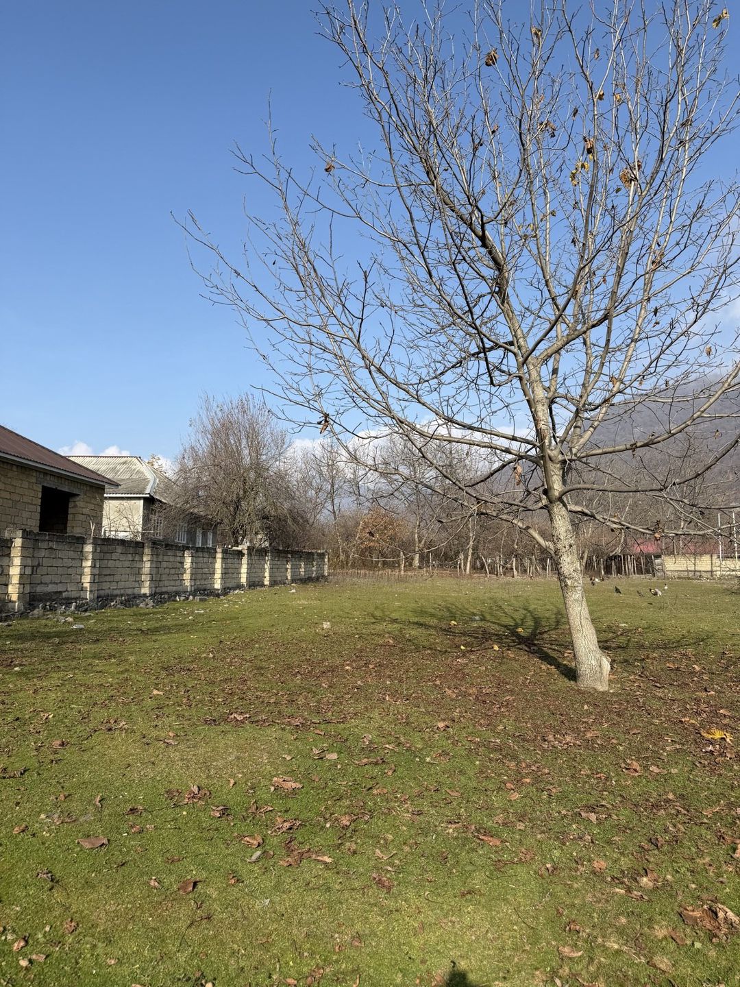 Satılır torpaq 4 sot — Torpaq, Qəbələ (4)