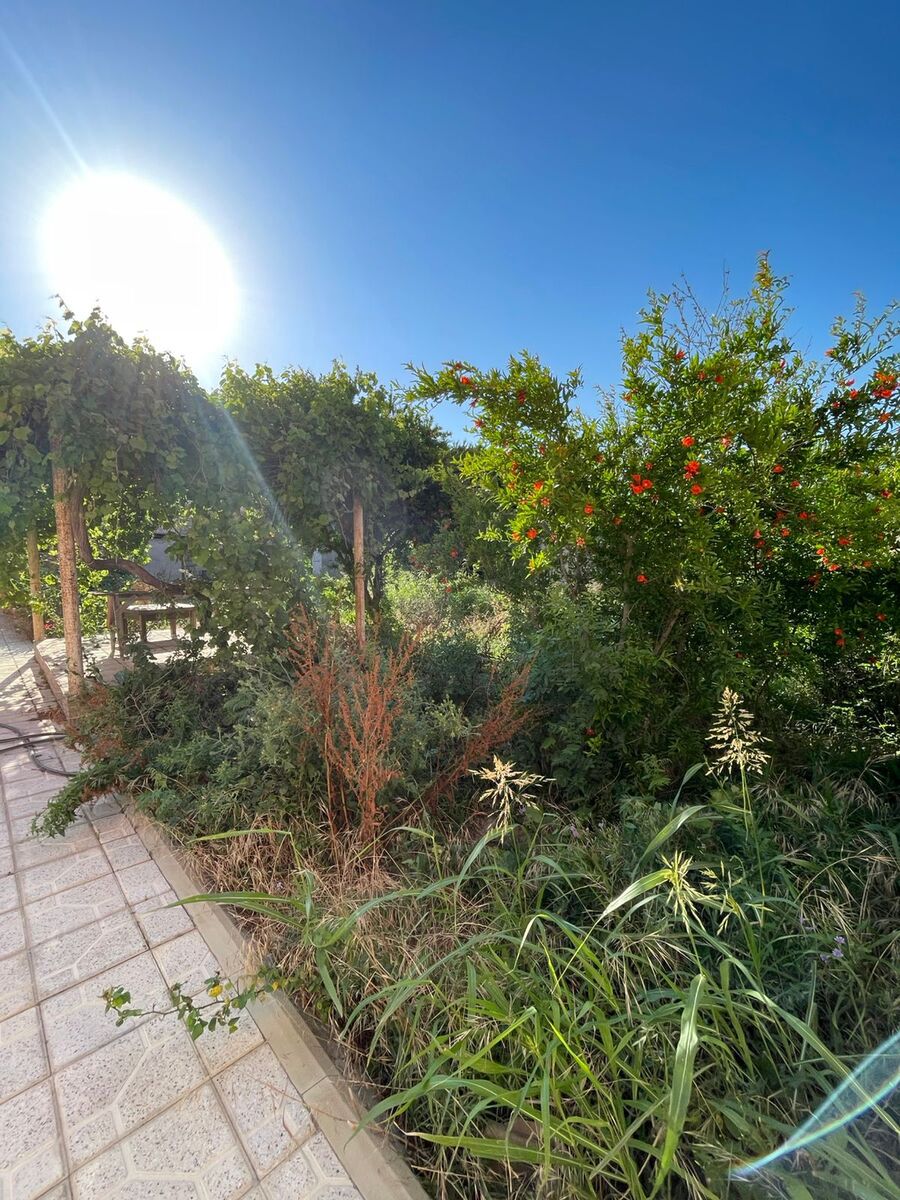 Satılır 4 otaqlı həyət evi/bağ evi 155 m² — Ev, villa, Bakı (3)