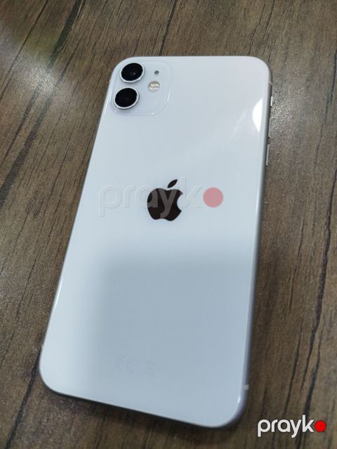 IPhone 11, Ağ