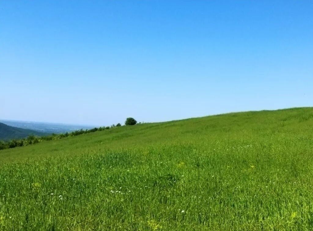 524 sot, Biznes üçün, Barter mümkündür, Kupça (Çıxarış) — Torpaq, Quba