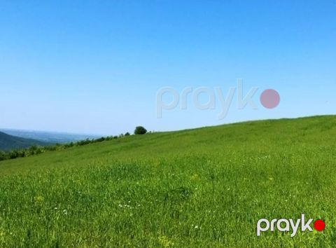 524 sot, Biznes üçün, Barter mümkündür, Kupça (Çıxarış)