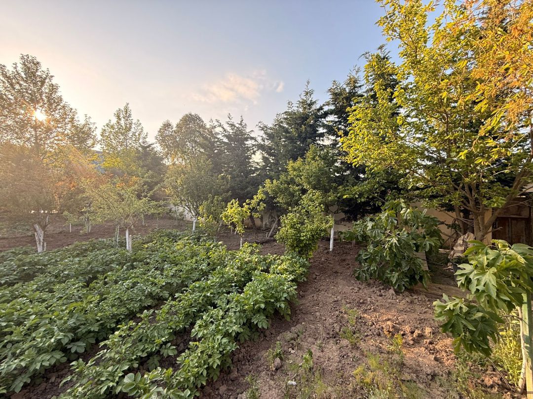 Satılır torpaq 28 sot — Torpaq, Bakı (8)