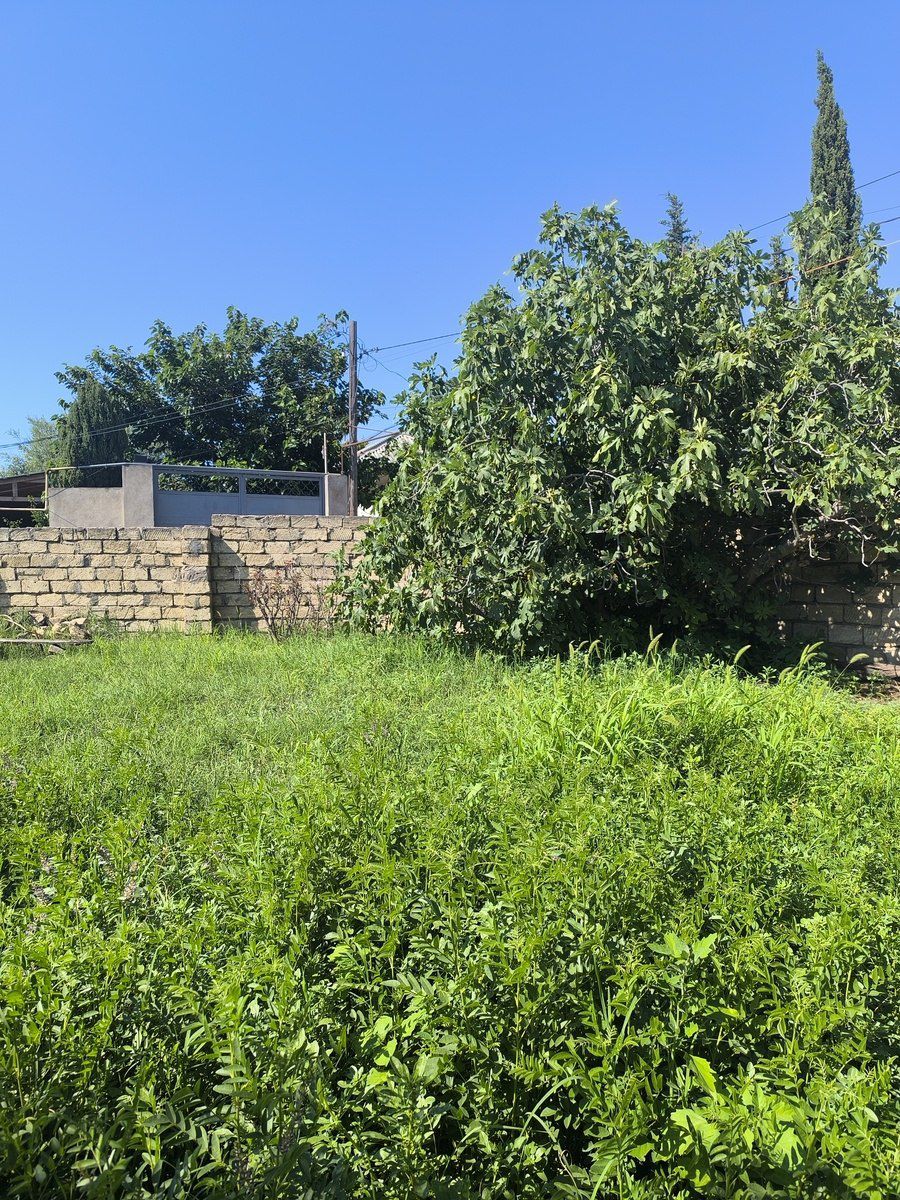 Satılır torpaq 4 sot — Torpaq, Bakı (5)