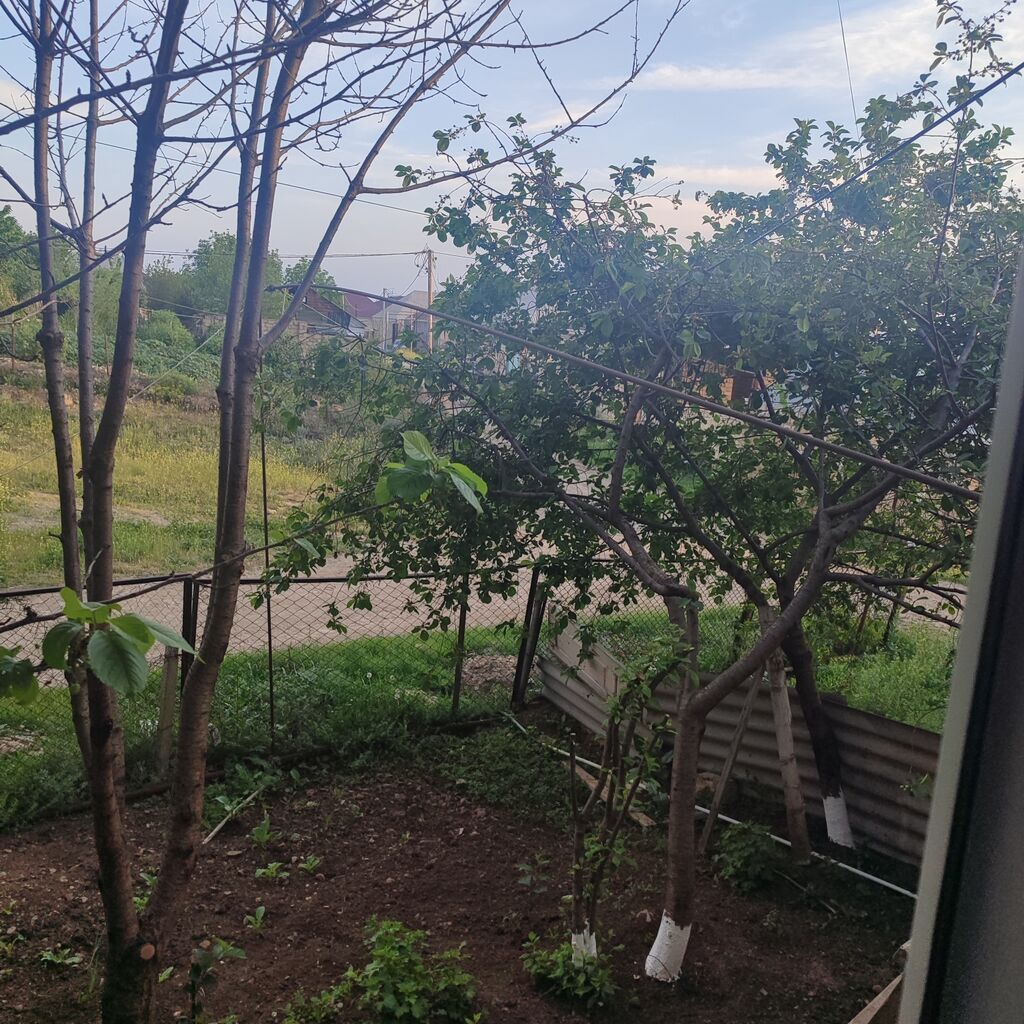 2 otaqlı, 8 kv. m, Kredit yoxdur, Təmirsiz — Daşınmaz əmlak, Gəncə (7)