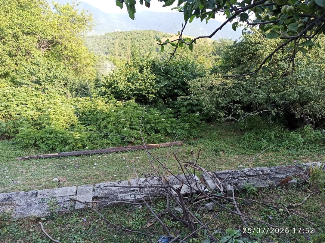 Bağ evi, İsmayıllı r. — Daşınmaz əmlak, İsmayıllı (9)