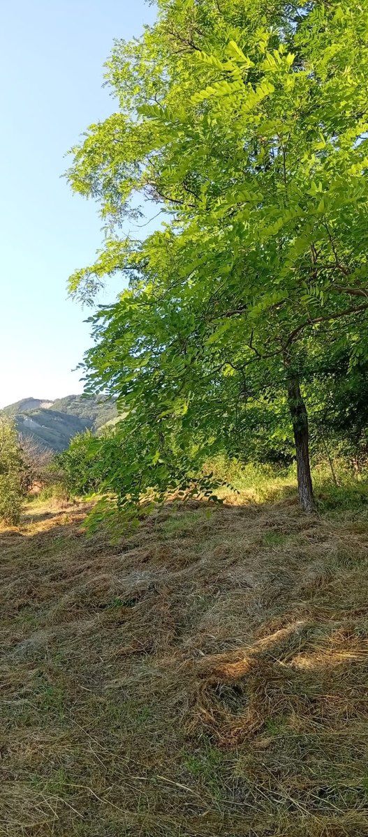 27 sot torpaq sahəsi, Xızı r. — Torpaq, Xızı (11)