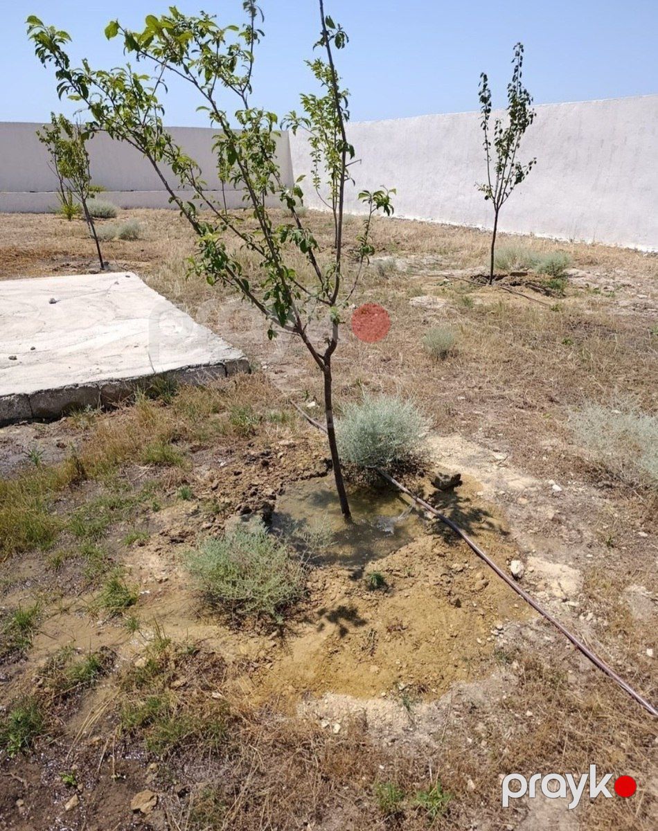 Satılır torpaq 10 sot — Torpaq, Bakı (7)