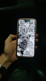 IPhone 16 Pro, 256 GB, Narıncı, Zəmanət, Simsiz şarj, Face ID — Smartfonlar