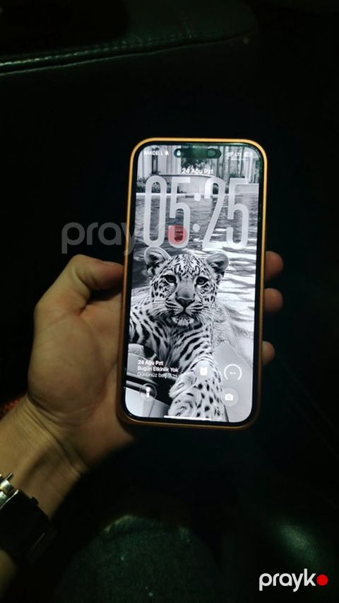 IPhone 16 Pro, 256 GB, Narıncı, Zəmanət, Simsiz şarj, Face ID