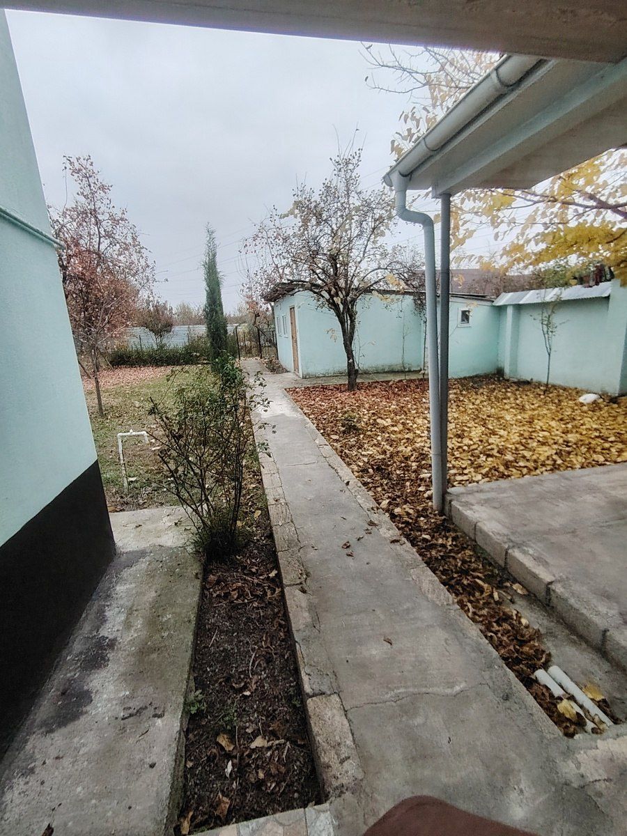 Həyət evi, Nəsimi küç. 179 — Daşınmaz əmlak, Qəbələ (4)
