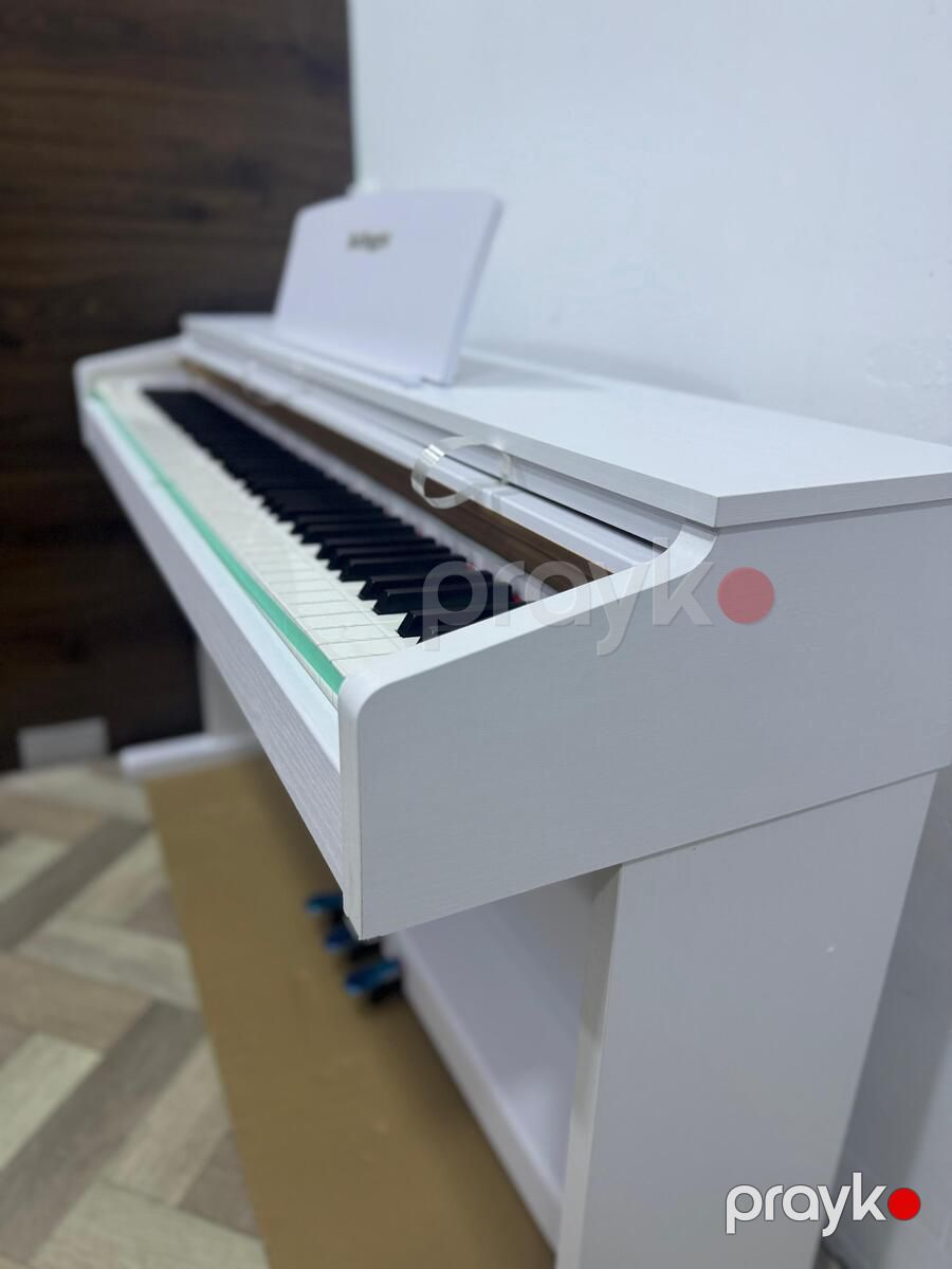 Elektro piano Solfeggio — Mallar, Bakı (4)