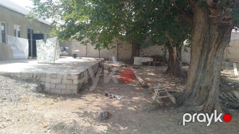 7 sot torpaq sahəsi, Əliabad qəs.