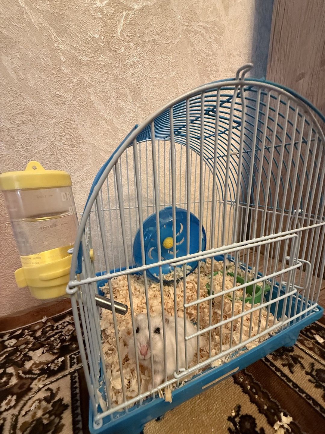 Satılır 4 otaqlı köhnə tikili 115 m² — Mənzil, Bakı (8)