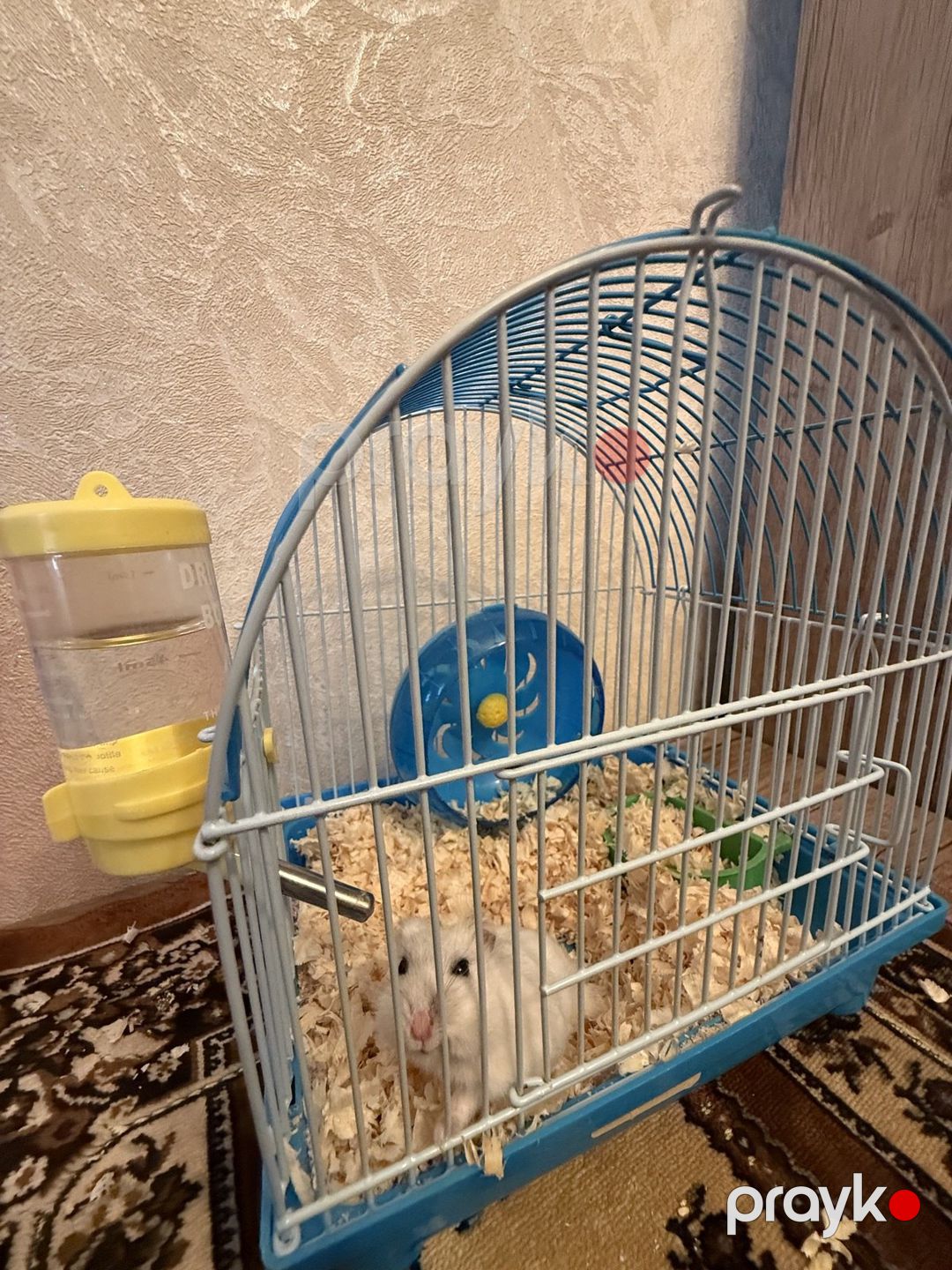 Satılır 4 otaqlı köhnə tikili 115 m² — Mənzil, Bakı (8)