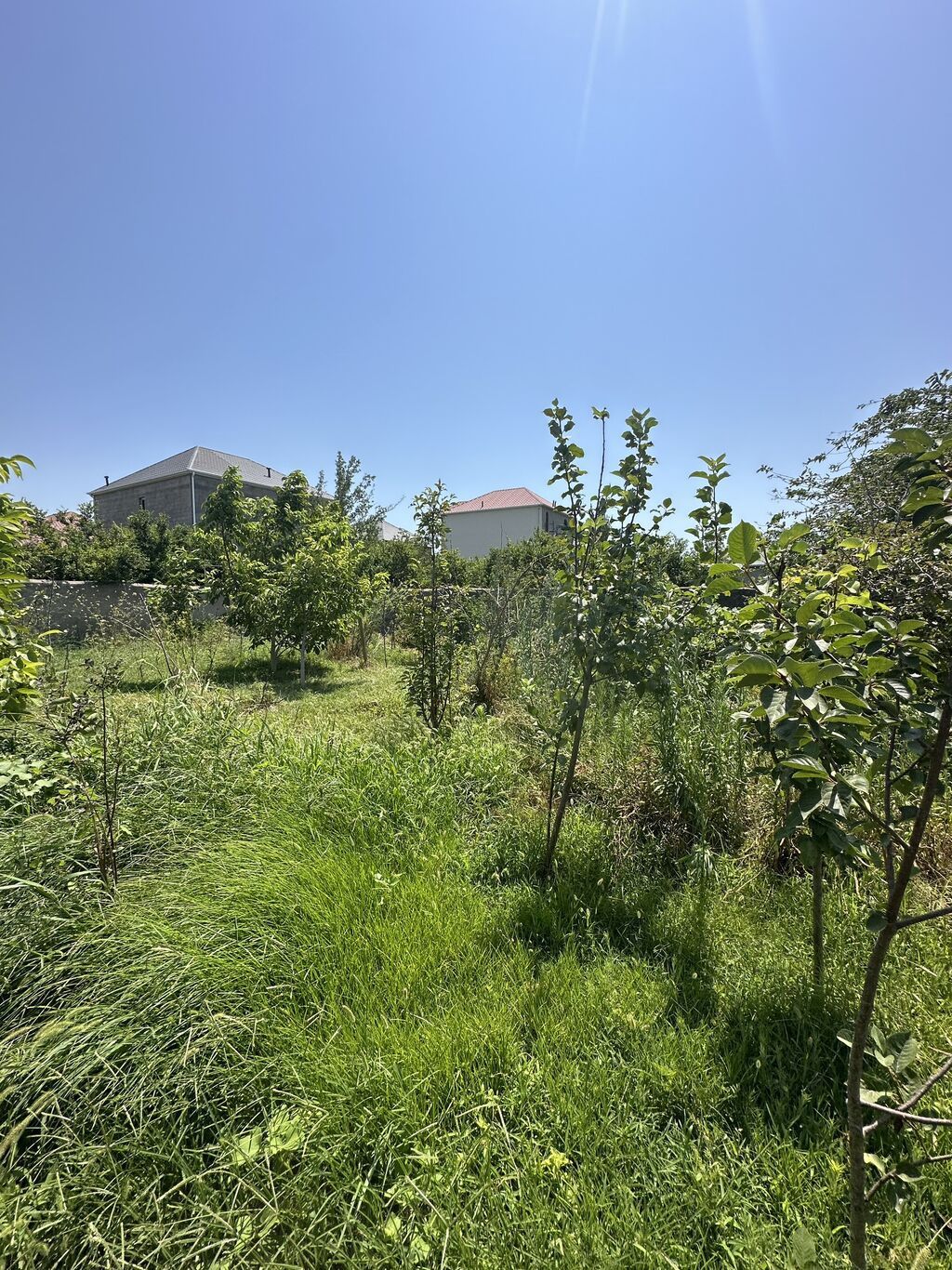 5 sot, Tikinti, Mülkiyyətçi, Kupça (Çıxarış), Texniki pasport — Torpaq, Saray (2)